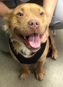 Geww at the Hospital 1